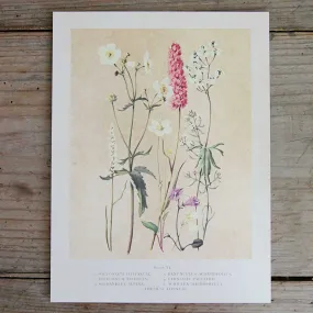 Vintage Flower Print - Summer Flowers